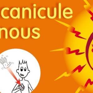 https://www.livry-sur-seine.fr/sites/livry-sur-seine.fr/files/styles/300x300/public/media/images/bandeau-canicule.jpg?itok=Z0GYTcc9