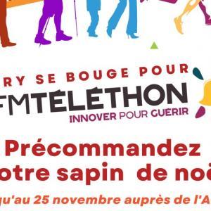 https://www.livry-sur-seine.fr/sites/livry-sur-seine.fr/files/styles/300x300/public/media/images/bandeau-telethon-sapin.jpg?itok=sKgGVg3m