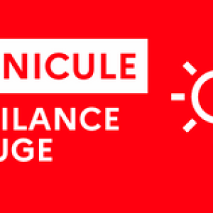 https://www.livry-sur-seine.fr/sites/livry-sur-seine.fr/files/styles/300x300/public/media/images/logovigilancerouge.png?itok=OnaIz9p6