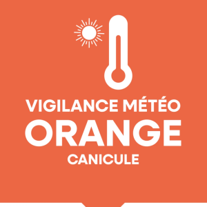 https://www.livry-sur-seine.fr/sites/livry-sur-seine.fr/files/styles/300x300/public/media/images/vigilanceorangecanicule.png?itok=P2bhyCKH